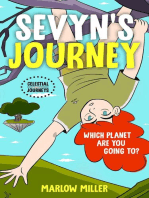 Sevyn's Journey (color version)