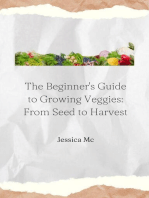 The Beginner's Guide to Growing Veggies: From Seed to Harvest