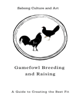 Gamefowl Breeding and Raising