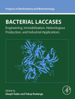 Bacterial Laccases: Engineering, Immobilization, Heterologous Production, and Industrial Applications
