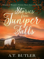 Stories from Juniper Falls