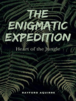 The Enigmatic Expedition