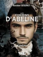 Les chemins d'Abeline - Tome 3