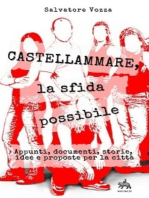 Castellammare, la sfida possibile: Appunti, documenti, storie, idee e proposte per la città