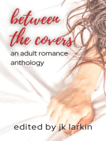 between the covers - an adult romance