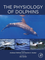 The Physiology of Dolphins