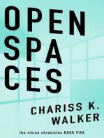 Open Spaces: The Vision Chronicles, #5