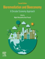 Bioremediation and Bioeconomy: A Circular Economy Approach