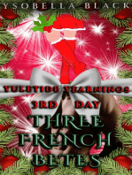 Three French Bêtes: Yuletide Yearnings, #3