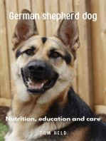 German Stepherd Dog, nutrition, education and care
