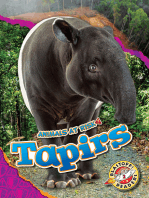 Tapirs