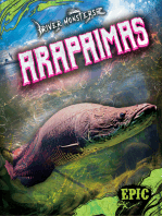 Arapaimas