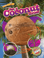 See a Coconut Grow