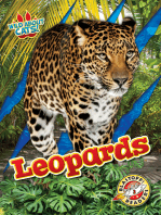 Leopards