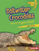 Saltwater Crocodiles