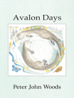Avalon Days