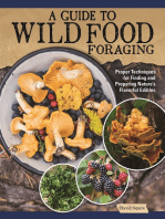 A Guide to Wild Food Foraging