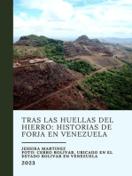 Tras las Huellas del Hierro: Historias de Forja en Venezuela