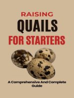Raising Quails For Starters: A Comprehensive And Complete Guide