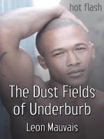 The Dust Fields of Underburb