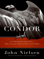 Condor: To the Brink and Back—the Life and Times of One Giant Bird