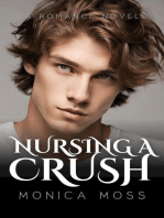 Nursing A Crush: The Chance Encounters Series, #22