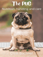 THE PUG, Nutrition, Handling and Care