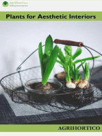 Plants for Aesthetic Interiors