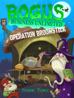 Bogus Business Unlimited: Operation Broomstick