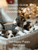 Ultimate Guide To Caring For And Training Puppies