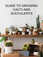 Guide To Growing Cacti And Succulents