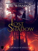 Lost in Shadow