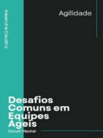 Desafios Comuns Em Equipes Ageis