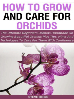 How to Grow and Care for Orchids: Profitable gardening, #9