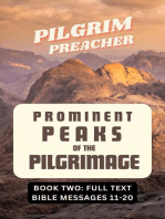 Prominent Peaks of the Pilgrimage 2: Prominent Peaks of the Pilgrimage, #2