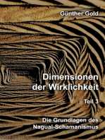 Dimensionen der Wirklichkeit – Teil 3: Die Grundlagen des Nagual-Schamanismus