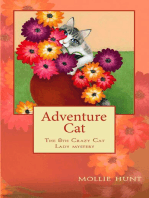 Adventure Cat, a Crazy Cat Lady Cozy Mystery #8