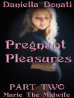 Pregnant Pleasures