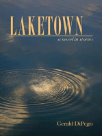 LAKETOWN: a novel in stories