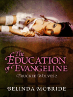 The Education of Evangeline