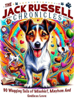 The Jack Russell Chronicles