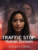 Traffic Stop: Human Division