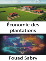 Économie des plantations: Cultiver la prospérité et l'injustice, une plongée en profondeur dans les économies de plantation