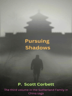 Pursuing Shadows