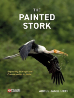 The Painted Stork: Exploring Ecology and Conservation in India