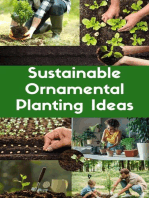 Sustainable Ornamental Planting Ideas