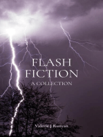 Flash Fiction