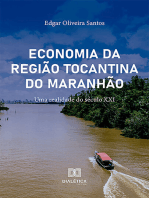 Economia da Região Tocantina do Maranhão: uma realidade do século XXI