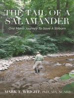 The Tail Of A Salamander: One Man's Journey to Save A Stream