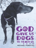 God Gave Us Dogs to Teach Us. . . .